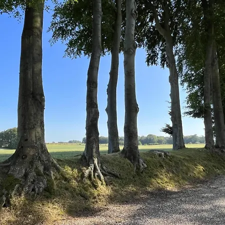 Holiday home Gite Gites De France - Le Clos Des Champs *