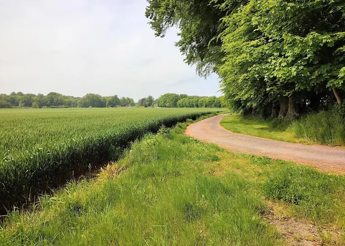 De France - Le Clos Des Champs Dom wakacyjny Daubeuf-Serville
